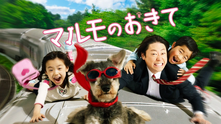 マルモのおきて|フジテレビの人気ドラマ・アニメ・TV番組の動画が見放題<FOD>