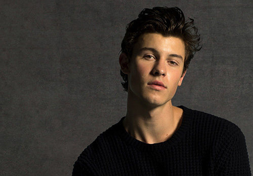 引用：ショーン・メンデス　BIOGRAPHY　UNIVERSAL MUSIC JAPAN
https://www.universal-music.co.jp/shawn-mendes/biography/
