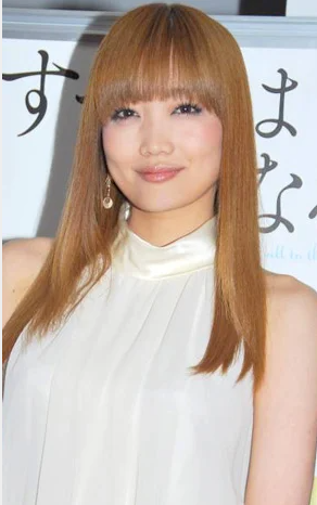 海老蔵の歴代彼女５人目：佐藤江梨子（2005年〜2006年頃）