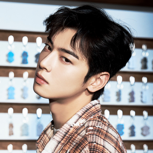 Cha Eun-Woo | Spotify